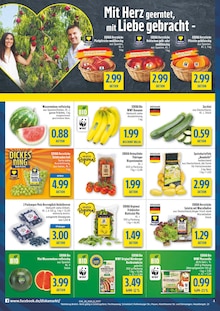 Bio Bananen im aktuellen diska Prospekt (Dresden) Bio Bananen im diska Prospekt "alles an deinem ort." mit 16 Seiten (Dresden)