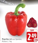 Paprika rot bei E center im Köngen Prospekt für 2,49 €