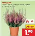 Besenheide Angebote bei Netto Marken-Discount Gütersloh für 1,99 €