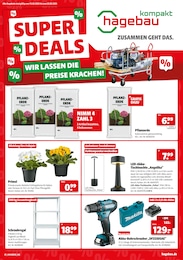 hagebau kompakt Prospekt: "SUPER DEALS", 8 Seiten, 04.01.2025 - 11.01.2025