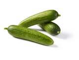 Lidl Zarrentin - Snack Gurken Angebot im Prospekt Snack Gurken bei Lidl im Zarrentin Prospekt für 1,39 €