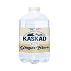 Ginger beer - SANS en promo chez Carrefour Élancourt à 1,89 €