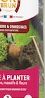 Terre à planter - OR BRUN en promo chez Espace Emeraude Quimper à 11,80 €