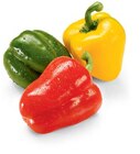 Paprika-Mix im Angebot bei Netto Marken-Discount in Gütersloh Paprika-Mix Angebote bei Netto Marken-Discount Gütersloh für 1,49 €