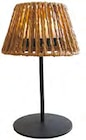 Set de 2 lampes twins raffia à 59,99 € dans le catalogue Botanic