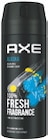 Duschgel oder Bodyspray Angebote von Axe bei Netto mit dem Scottie Frankfurt für 3,33 €