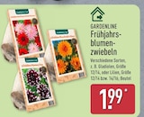 Frühjahrsblumenzwiebeln Angebote von Gardenline bei ALDI Nord Görlitz für 1,99 €