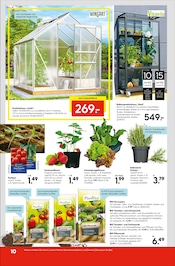 Aktueller Hellweg Prospekt mit Bio, "Innenausbau leicht gemacht", Seite 14