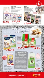 Aktueller Zookauf Prospekt mit Katzenstreu, "Alles für tierische Verwöhn-Momente", Seite 7