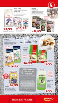 Katzenfutter im aktuellen Zookauf Prospekt (Neuss) Katzenfutter im Zookauf Prospekt "Alles für tierische Verwöhn-Momente" mit 8 Seiten (Neuss)