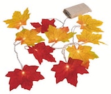 LED-Lichterkette im Angebot bei Lidl in Villingen-Schwenningen LED-Lichterkette Angebote von Livarno Home bei Lidl Villingen-Schwenningen für 1,99 €