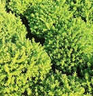 ZG Raiffeisen Bad Krozingen Prospekt mit  im Angebot für 2,49 €