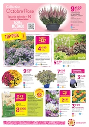 Jardinage Angebote im Prospekt "90 ans à colorer votre automne !" von Delbard Jardinage Angebote im Prospekt "90 ans à colorer votre automne !" von Delbard auf Seite 2