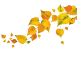 Eierlikör Angebote von Verpoorten bei REWE Frankfurt für 10,99 €