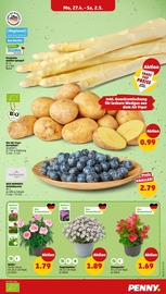 Aktueller Penny Prospekt mit Kartoffeln, "Wer günstig will, muss Penny.", Seite 3