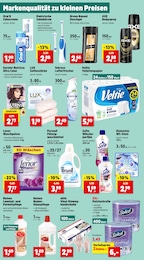 Domestos Angebot im aktuellen Thomas Philipps Prospekt auf Seite 10