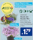 Staudenmix von Gardenline im aktuellen ALDI SÜD Prospekt für 1,79 €