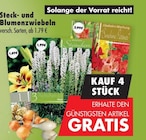 Steck- und Blumenzwiebeln Angebote bei Mäc-Geiz Bautzen für 1,79 €