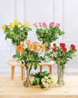 Bouquet de 9 roses en promo chez Super U Perpignan à 2,99 €