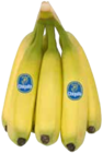 Aktuelle Bananen Angebote bei EDEKA in München Aktuelles Bananen Angebot bei EDEKA in München ab 1,99 €