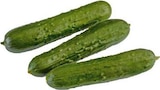 Land-Gurken Angebot in Sassenberg Land-Gurken im aktuellen Prospekt bei EDEKA in Sassenberg