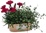 Zinkjardiniere Florastyle bei REWE im Sangerhausen Prospekt für 7,99 €
