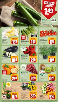 Garten Angebot im REWE Prospekt, gültig von 16.03.2026 bis 21.03.2026 Garten Angebot im aktuellen REWE Prospekt auf Seite 9