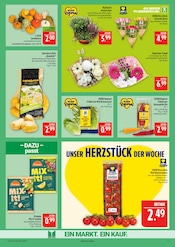 Aktueller Marktkauf Prospekt mit Kartoffeln, "AUSWAHL RIESIG, PREISE NIEDRIG", Seite 9