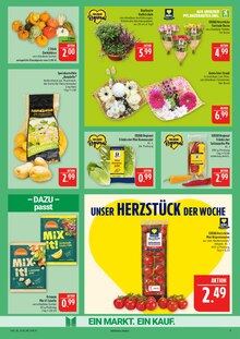 Paprika im aktuellen Marktkauf Prospekt (Nürnberg) Paprika im Marktkauf Prospekt "AUSWAHL RIESIG, PREISE NIEDRIG" mit 40 Seiten (Nürnberg)