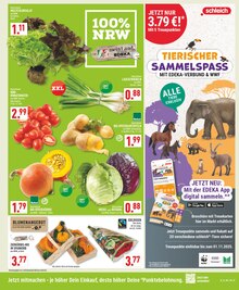 Kürbis im Marktkauf Prospekt "Aktuelle Angebote" mit 24 Seiten (Dortmund)
