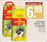 Grillis oder Holzkohle bei WEZ im Porta Westfalica Prospekt für 6,99 €