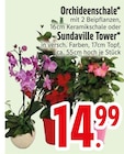 Orchideenschale oder Sundaville Tower von  im aktuellen EDEKA Prospekt für 14,99 €