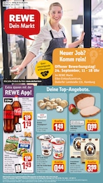 REWE Prospekt mit 16 Seiten (Hamburg)