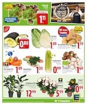 Aktueller EDEKA Prospekt mit Mixer, "Wir lieben Lebensmittel.", Seite 5