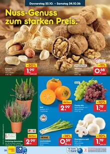 Pflanzen im Netto Marken-Discount Prospekt "Aktuelle Angebote" mit 75 Seiten (Jena)