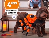 Déguisement araignée en promo chez Gifi Déguisement araignée dans le catalogue Gifi