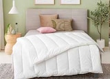 Ganzjahresbett „Clima Soft“ Angebote von CENTA-STAR extra bei Segmüller Landshut für 57,99 €