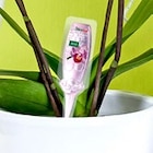 Orchideen-Vitalkur im Angebot bei Thomas Philipps in Mülheim Orchideen-Vitalkur Angebote bei Thomas Philipps Mülheim für 0,79 €