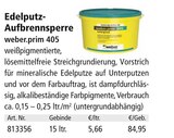 Edelputz-Aufbrennsperre Angebote von Weber bei Holz Possling Potsdam für 84,95 €