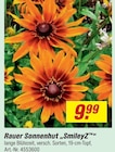Sonnenhut SmileyZ von Bauer im aktuellen toom Baumarkt Prospekt für 9,99 €