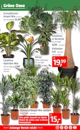 Garten Angebot im aktuellen BAUHAUS Prospekt auf Seite 3