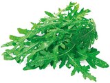 Bio Rucola im Angebot bei REWE in Karlsruhe Bio Rucola Angebote von REWE Bio bei REWE Karlsruhe für 0,89 €