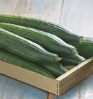 Promo Concombre à 1,50 € dans le catalogue Intermarché à Montignac-Charente