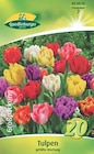 Bauzentrum Reinholdshain Dippoldiswalde - Tulpen, Narzissen und Krokus Angebot im Prospekt Tulpen, Narzissen und Krokus bei Bauzentrum Reinholdshain im Dippoldiswalde Prospekt für 4,49 €