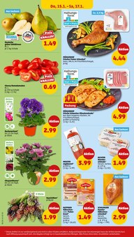 Blumen im Penny Prospekt "Wer günstig will, muss Penny." mit 44 Seiten (Jena)