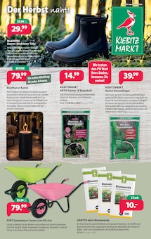 Kiebitzmarkt Prospekt der KW 36 "Der Herbst naht!" Aktueller Kiebitzmarkt Prospekt "Der Herbst naht!" Seite 1 von 16 Seiten