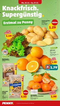 Gemüse im aktuellen Penny Prospekt (Oldenburg) Gemüse im Penny Prospekt "Wer günstig will, muss Penny." mit 42 Seiten (Oldenburg)