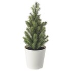 Topfpflanze, künstlich/mit Topf drinnen/draußen/Weihnachtsbaum grün von VINTERFINT für 1,49 € bei IKEA im Angebot Topfpflanze, künstlich/mit Topf drinnen/draußen/Weihnachtsbaum grün von VINTERFINT im aktuellen IKEA Prospekt