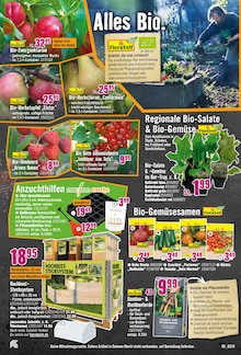 Gemüse im Hornbach Prospekt "Sport? Du schleppst lieber Pflanzringe." mit 33 Seiten (Magdeburg)