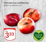 Aktuelle Nektarinen Angebote bei GLOBUS in Leipzig Aktuelles Plattnektarinen weißfleischig Angebot bei GLOBUS in Leipzig ab 3,33 €